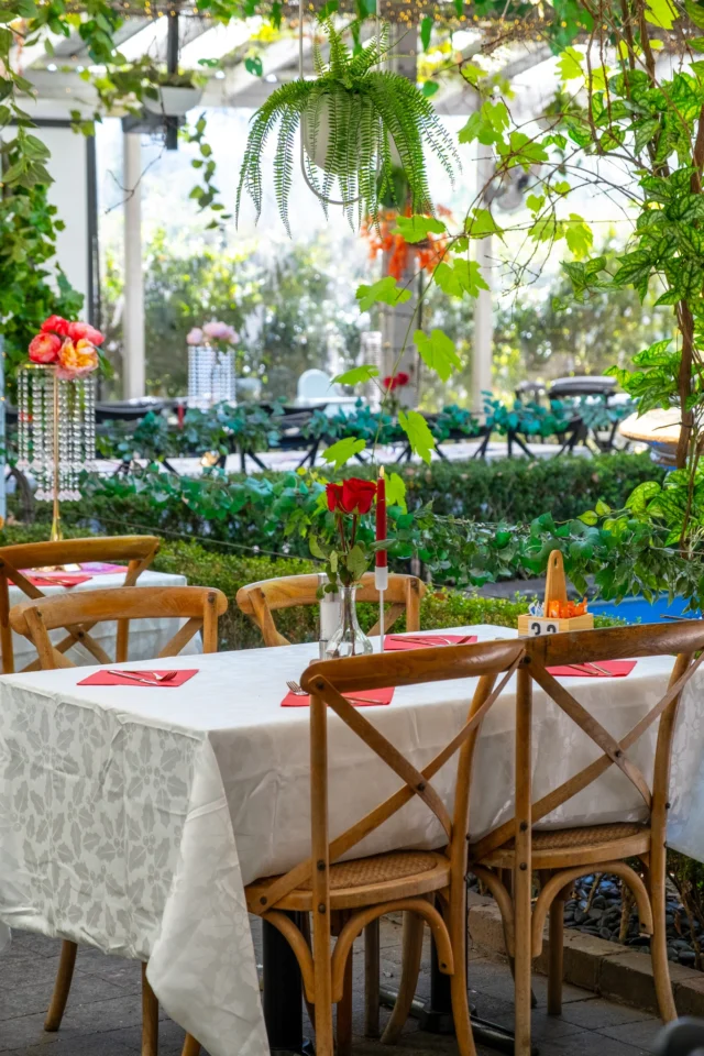 Twilight in the garden is pure magic. 🌿✨

As the fairy lights flicker and the evening unfolds, enjoy dinner that feels like an escape. Plus, don’t miss our November Christmas promo, $250 off your minimum spend and free festive styling when you secure your date before 30 November.

📍 353 Galston Rd, Galston
⏰ Twilight Dinner | Fri–Sun 5PM–10PM
💌 Enquire today ➡️ thevintagesecretgarden.com.au